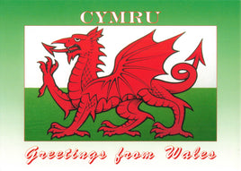 Welsh Dragon Postcard