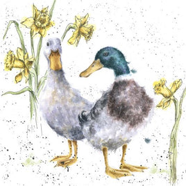 Ducks and Daffs Greetings Card - Wrendale Designs