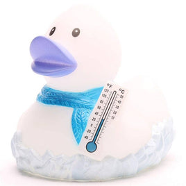 Rubber Duck Frosty - rubber duck