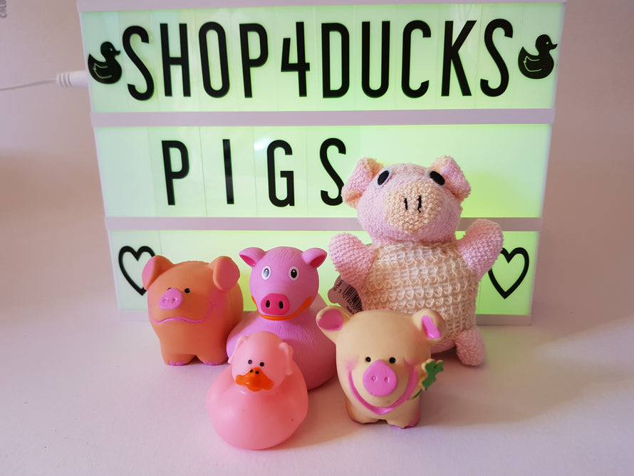 Pigs