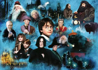 Harry Potter's Magic World Puzzle, 1000pc