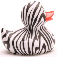 Zebra Duck