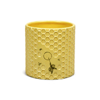 Plant Pot - Disney Winnie the Pooh (Honeycomb)