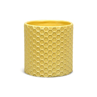 Plant Pot - Disney Winnie the Pooh (Honeycomb)