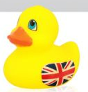 UJ Winged 5cm Mini Rubber Duck