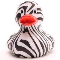 Zebra Duck