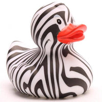 Zebra Duck