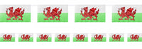 WALES 12ft Rayon Bunting 8" X 5" Flags