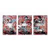One Piece Card Game: English Version - 3rd Anniversary Set