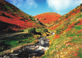 Autumn Carding Mill Valley Postcard
