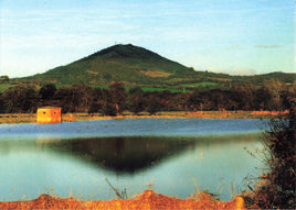 The Wrekin from the Severn Flood Plane Postcard