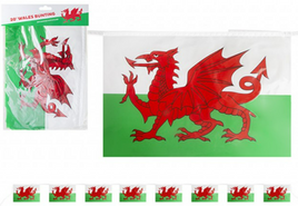 WALES 20' PLASTIC BUNTING 12" X 8" FLAGS