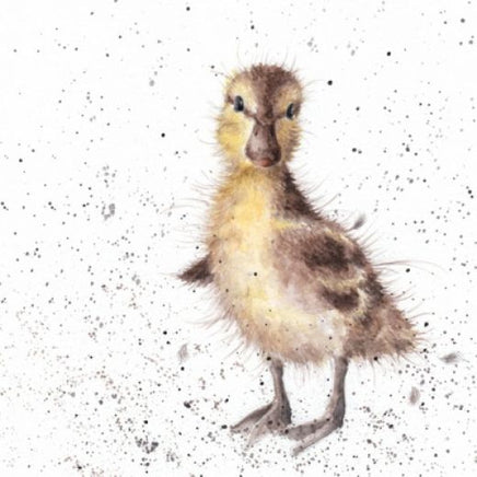 Just Hatched Greetings Card - Wrendale Designs