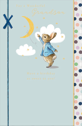 Peter Rabbit Birthday Greetings Card - 9x6 inches Grandson