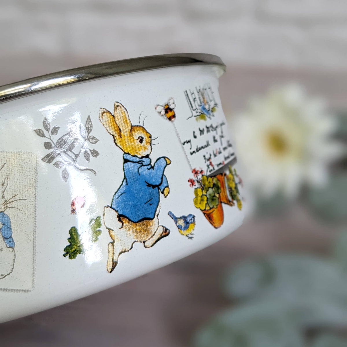 Peter Rabbit Enamel Bowl| Shop4Ducks