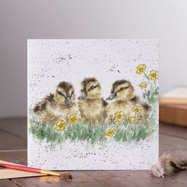 Buttercup Greetings Card - Wrendale Designs