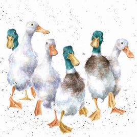 Quackers Greetings Card - Wrendale Designs