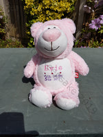 Bear Pink Cubby - Cubbyford