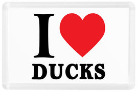I Heart Ducks - Fridge Magnet - Duck Themed Merchandise from Shop4Ducks