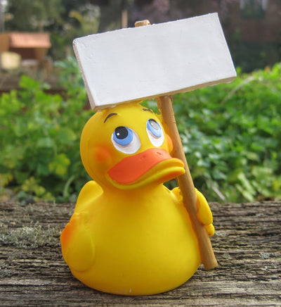 Welcome Latex Rubber Duck with Sign From Lanco Ducks