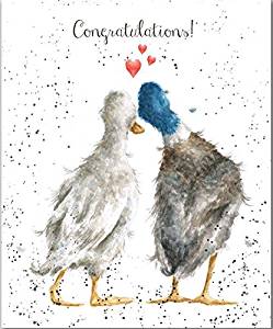 Duck Love Congratulations Greetings Card - Wrendale Designs