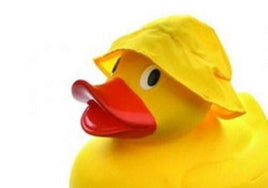 Sou'Wester' Yellow Hat By Opal
