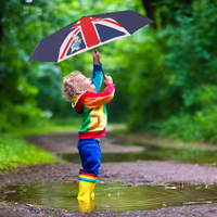 Peter Rabbit Union Jack Umbrella